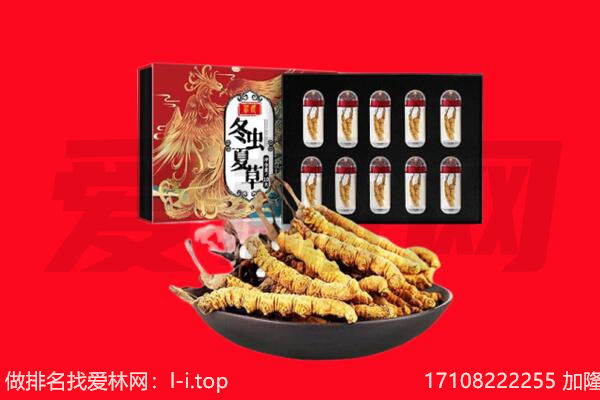 葫芦岛连山区回收虫草.jpg